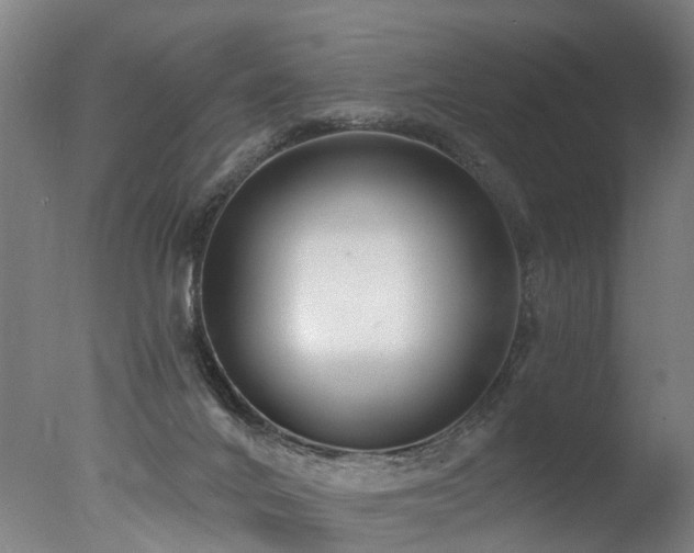 X0000077310024200610201205