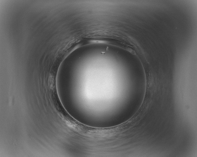 X0000077310025200610201205
