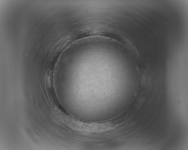 X0000077310026200610201205