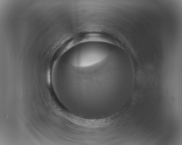 X0000077310027200610201205