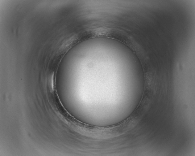 X0000077310028200610201205