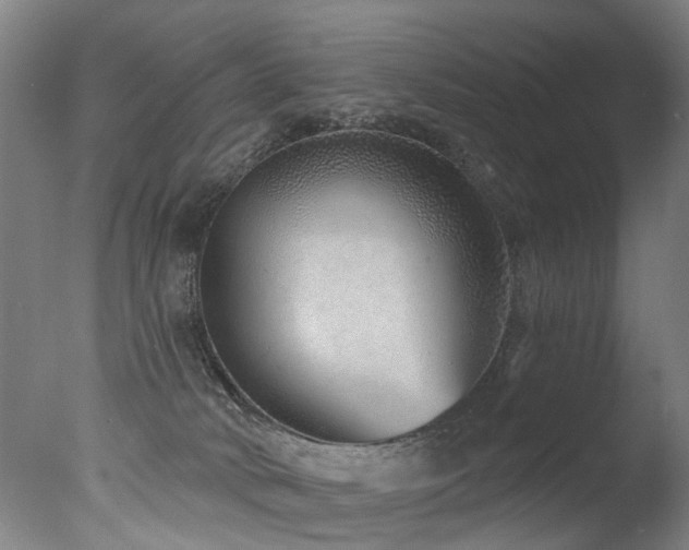X0000077310034200610201205