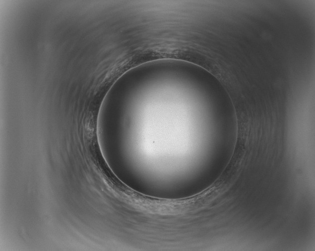 X0000077310040200610201205