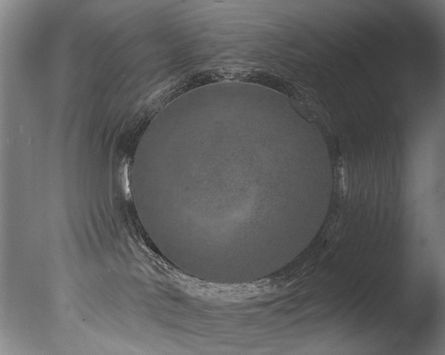 X0000077310042200610201205