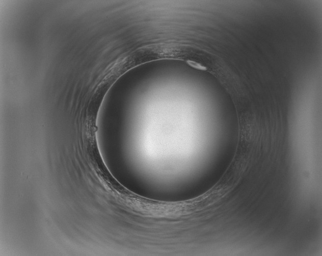 X0000077310044200610201205