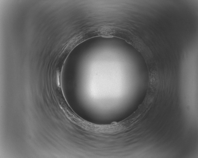 X0000077310046200610201204