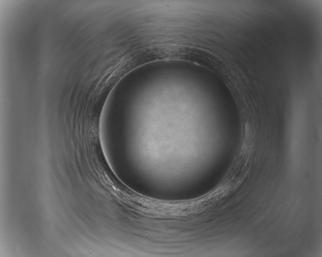X0000077310048200610201204