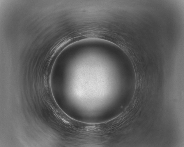 X0000077310050200610201204