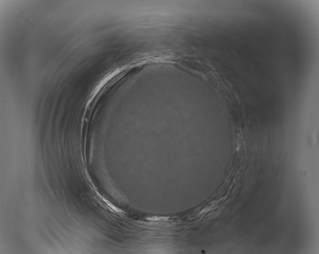 X0000077310052200610201204