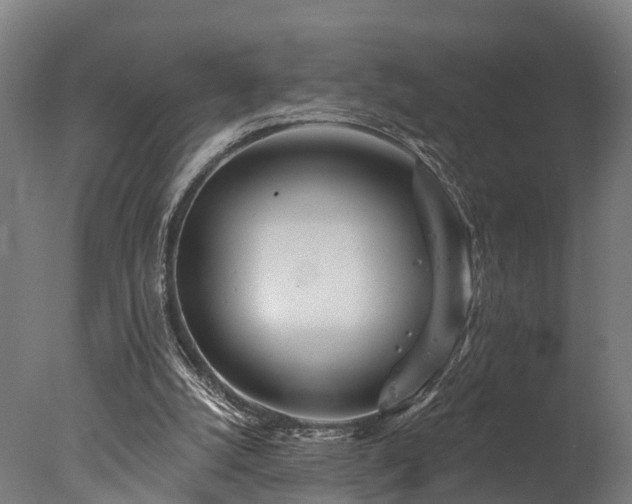 X0000077310056200610201204