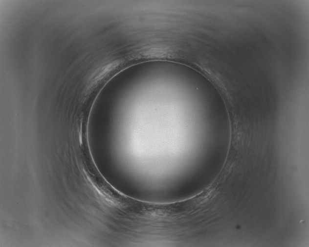 X0000077310062200610201204