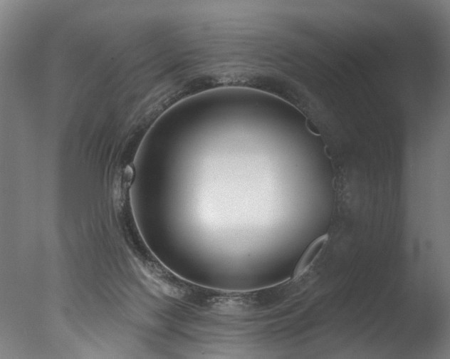 X0000077310074200610201204