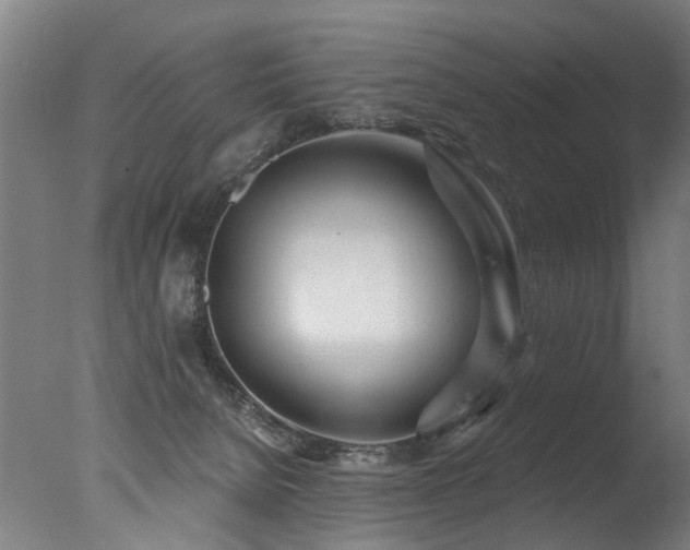 X0000077310080200610201204