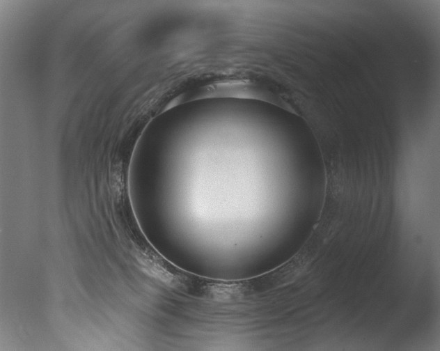 X0000077310085200610201204