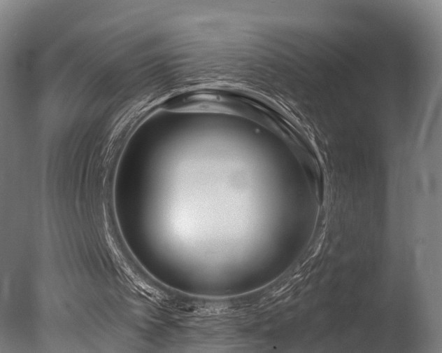 X0000077310097200610201204