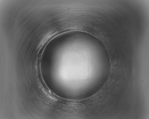 X0000077310098200610201204