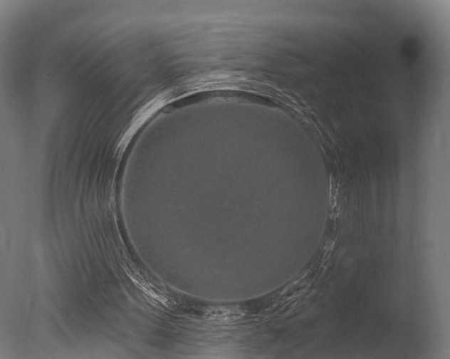 X0000077310099200610201204