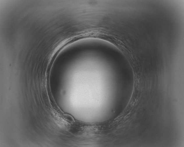X0000077310100200610201204