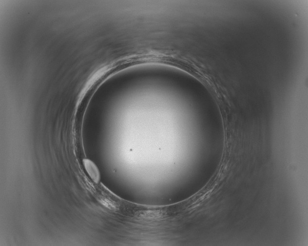 X0000077310102200610201204