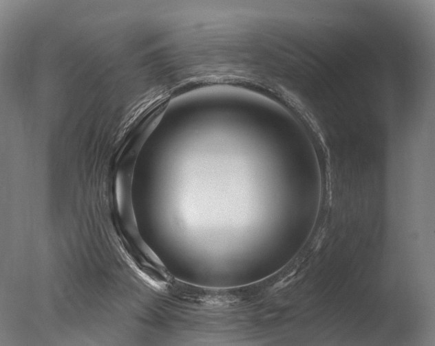 X0000077310105200610201203