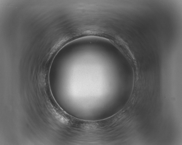 X0000077310106200610201203