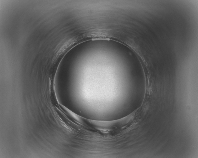 X0000077310109200610201203