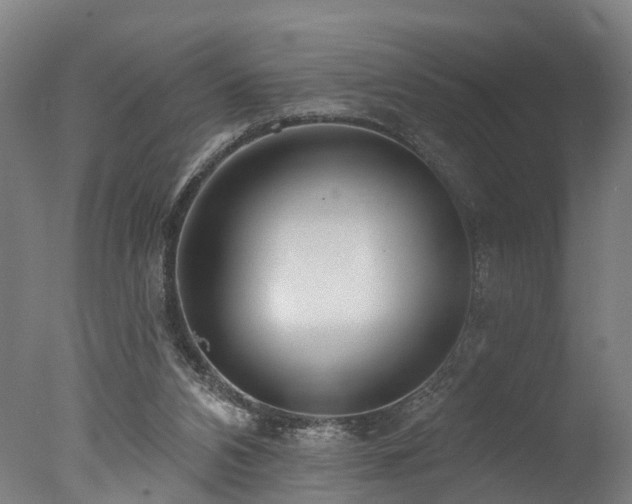 X0000077310112200610201203