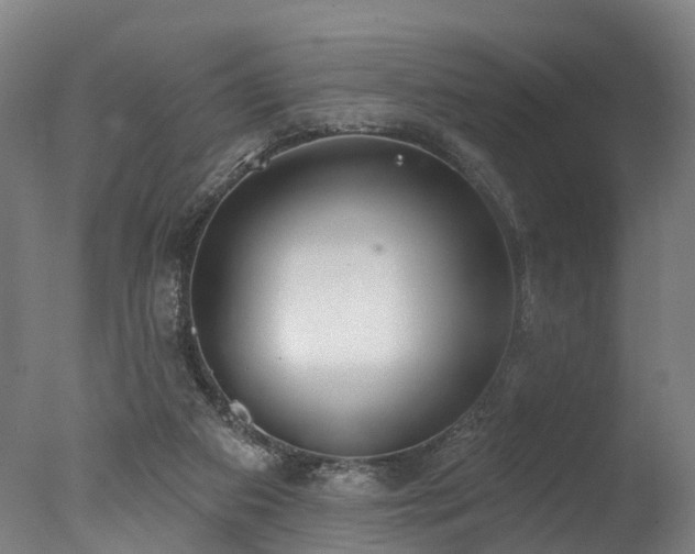 X0000077310113200610201203