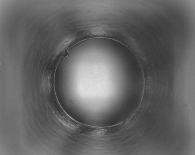 X0000077310116200610201203
