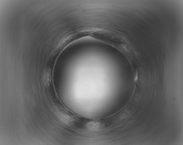 X0000077310119200610201203