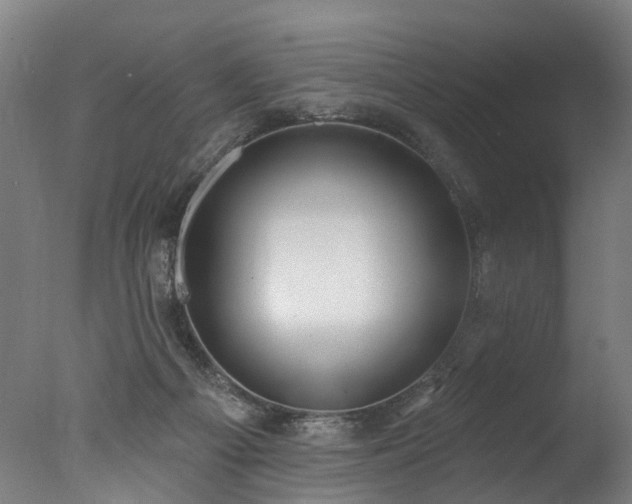 X0000077310121200610201203