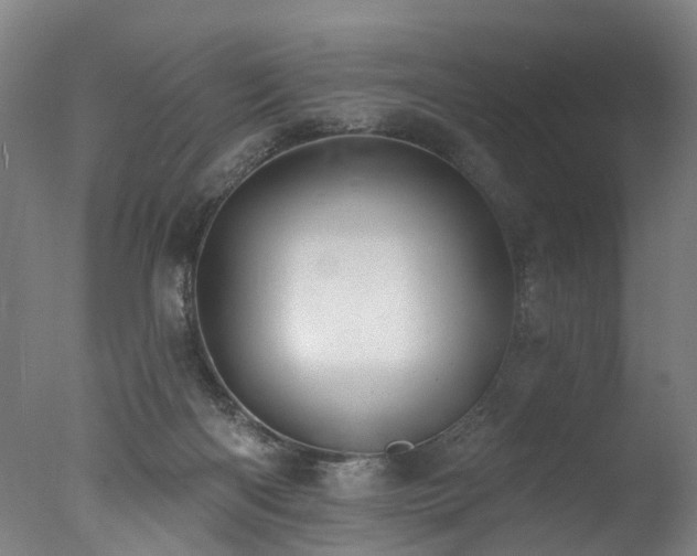X0000077310122200610201203