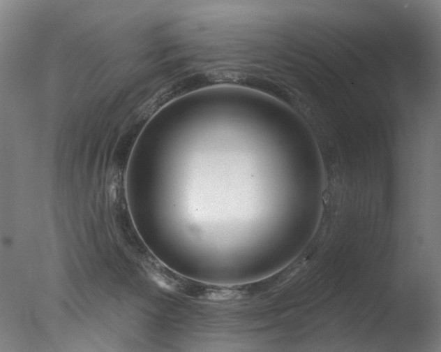 X0000077310125200610201203