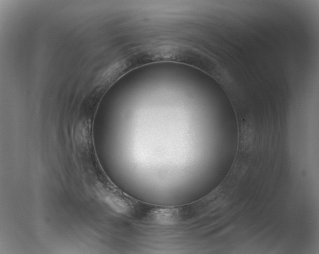 X0000077310126200610201203