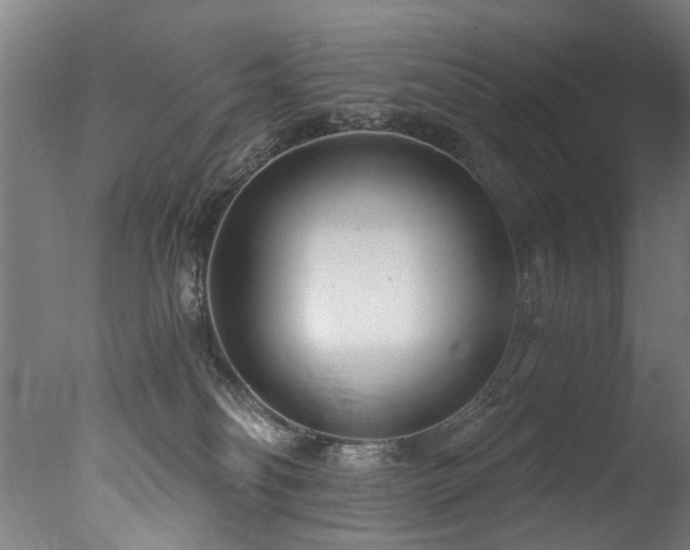 X0000077310134200610201203