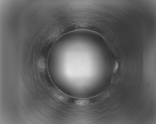 X0000077310135200610201203