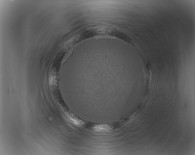 X0000077310137200610201203