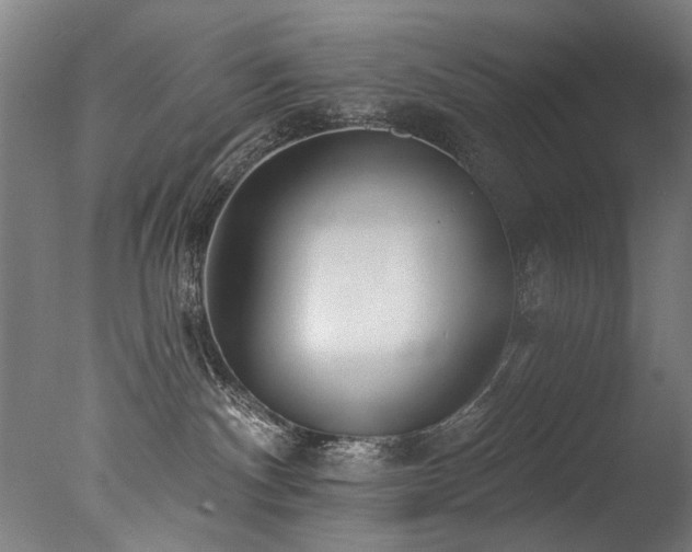 X0000077310140200610201203