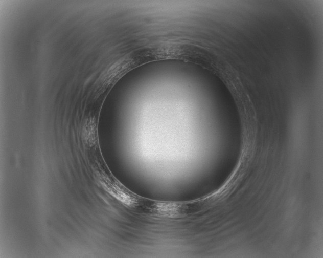 X0000077310144200610201203