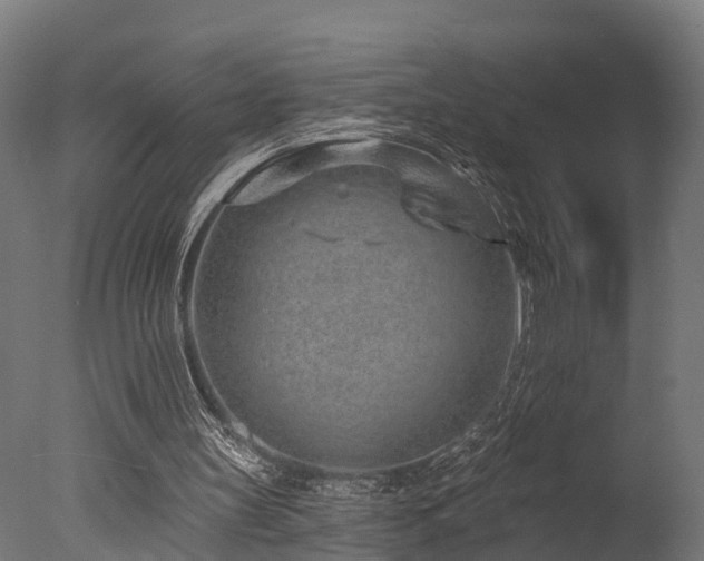 X0000077310147200610201202