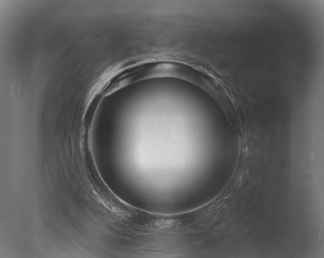 X0000077310152200610201202