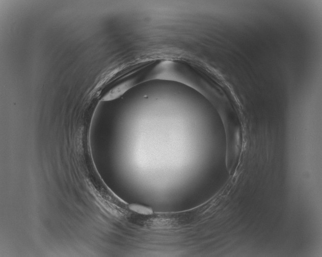 X0000077310154200610201202