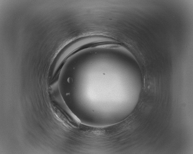 X0000077310156200610201202