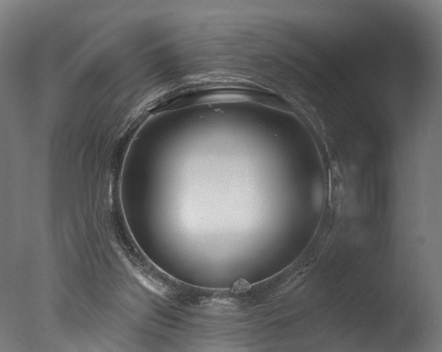 X0000077310157200610201202