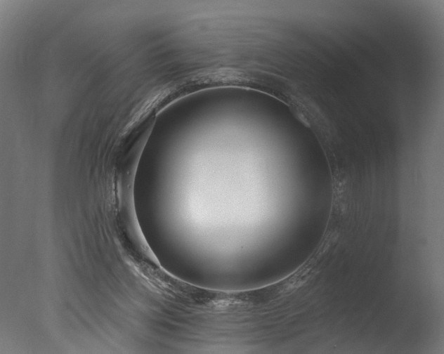 X0000077310158200610201202