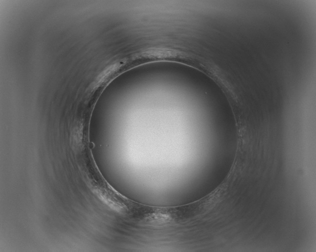 X0000077310159200610201202