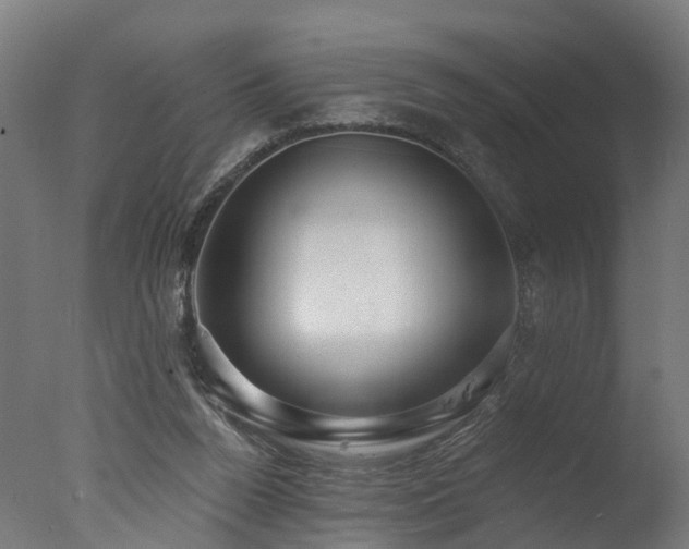 X0000077310160200610201202