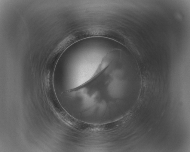X0000077310163200610201202