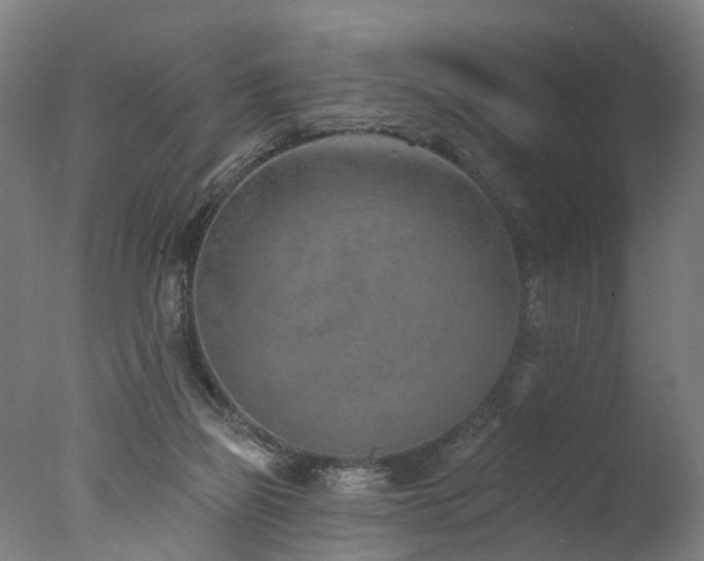 X0000077310165200610201202