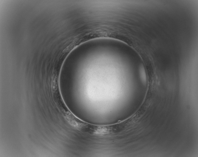 X0000077310177200610201203
